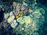 IMG_20130928_075010