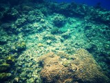 IMG_20130928_075300