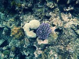 IMG_20130928_075333