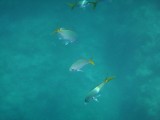 IMG_20130928_075535