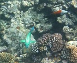 IMG_20130928_075419