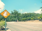 IMG_20130929_093252