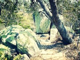 IMG_20130929_093936