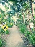 IMG_20130929_094354