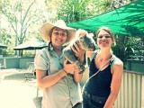 Magnetic Island, Wildlife Park