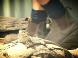 Magnetic Island, Wildlife Park