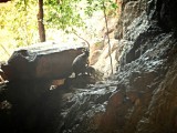 Kakadu