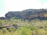 Kakadu
