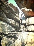 Kakadu, klimmen