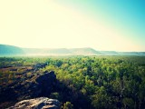 Kakadu