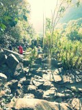 Kakadu, lopen lopen lopen