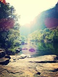 Kakadu