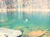 Kakadu