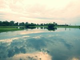 Kakadu