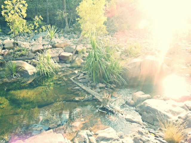 Kakadu