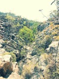 Kakadu, lopen lopen lopen