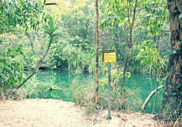 Kakadu