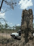 Kakadu, termietenheuvel