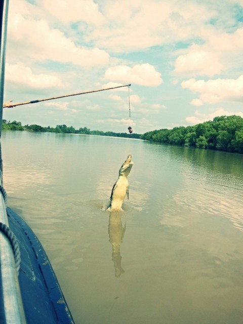Adelaide river