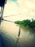 Adelaide river