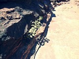 Kings Canyon