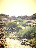 Kings Canyon