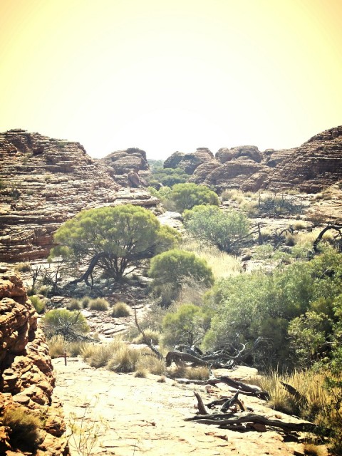 Kings Canyon