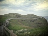 The Great Ocean Road
