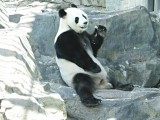 Adelaide Zoo