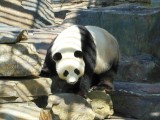 Adelaide Zoo