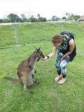 The Great Ocean Road, check de buidel!!