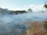 Rotorua, Geyser, Nieuw Zeeland