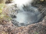 Rotorua, Geyser, Nieuw Zeeland