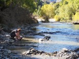 arrowtown gold