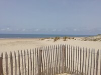 IMG_20220429_130324