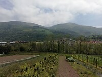 IMG_20220501_142535