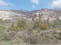 IMG_20220505_112109