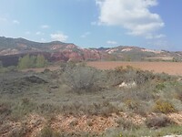 IMG_20220505_112752