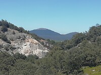 IMG_20220506_152628