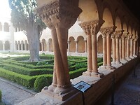 IMG_20220506_175654