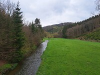Beekje