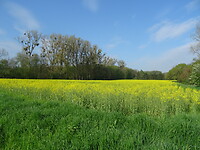 In de buurt van de Saar