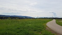 Theepauze