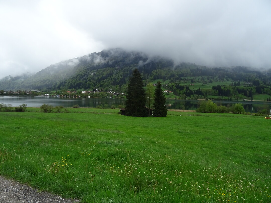 Grote Alpsee