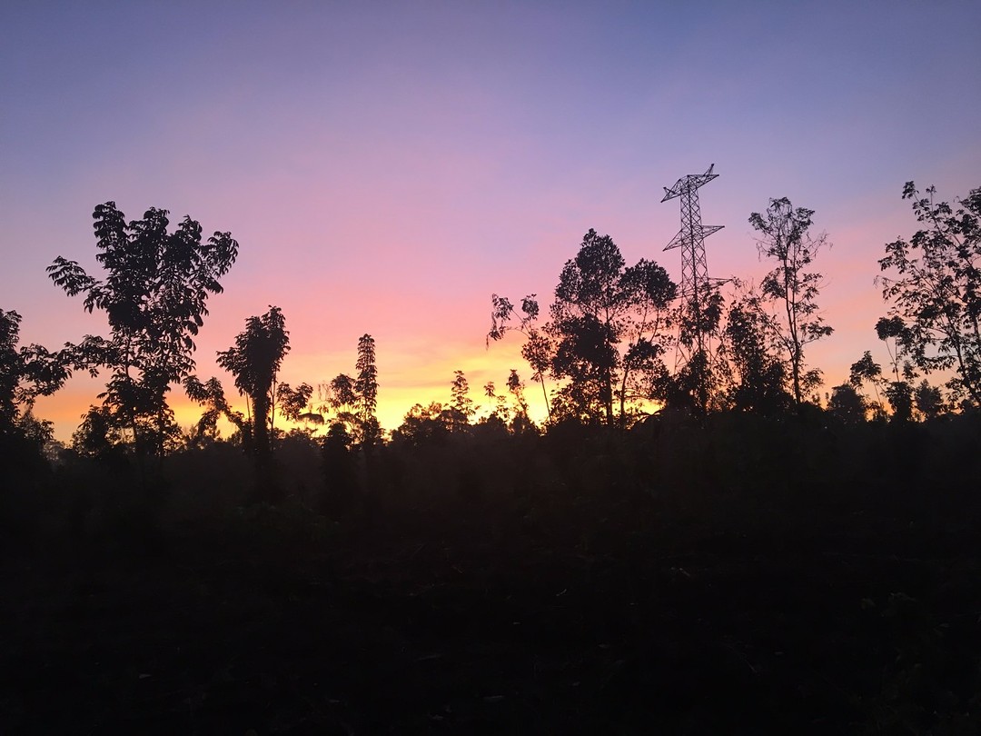 Zonsopkomst