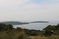IMG_3725