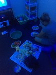 IMG_0069