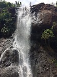 IMG_1241