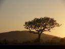 Sunrise @ Hluhluwe