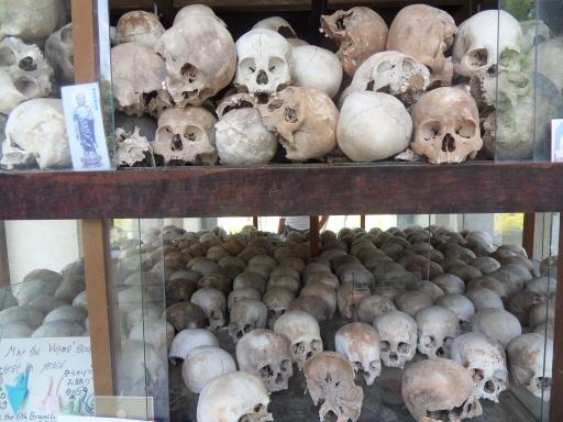 Killing fields: hoe intens wil je het hebben..